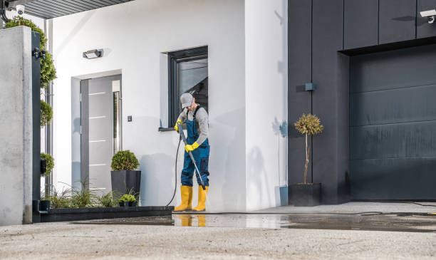 Best House Exterior Washing  in Florence, MT